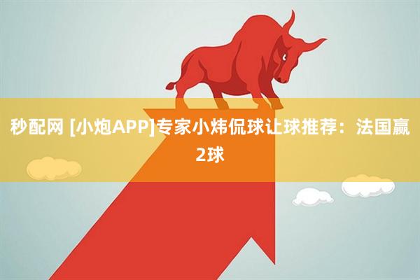 秒配网 [小炮APP]专家小炜侃球让球推荐：法国赢2球